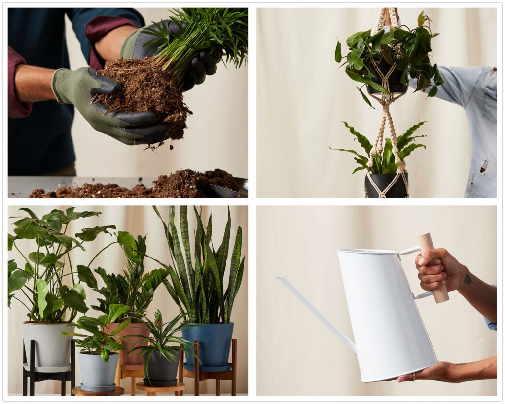 10 Must-Have Plant Care Dispensers and Accessories